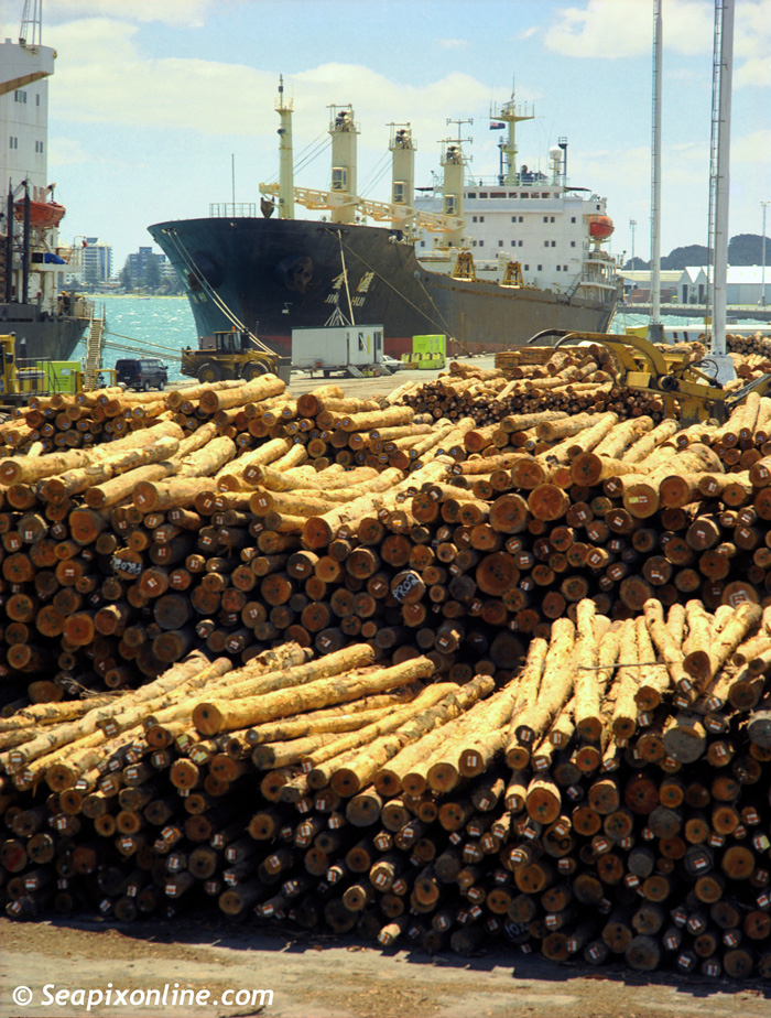 JIN HUI (1994/10904grt/IMO 9039341) loading logs at the Port of Tauranga, New Zealand. December 2002. Photo by SeapixOnline.com